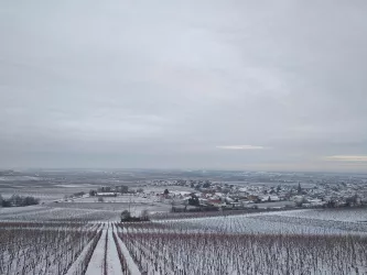 Rheinebene im Schnee