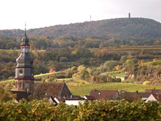 Kallstadt - Panorama mit St. Salvator Kirche (© Urlaubsregion Freinsheim)