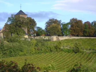 Weinhnachtsmarkt (© Urlaubsregion Freinsheim)