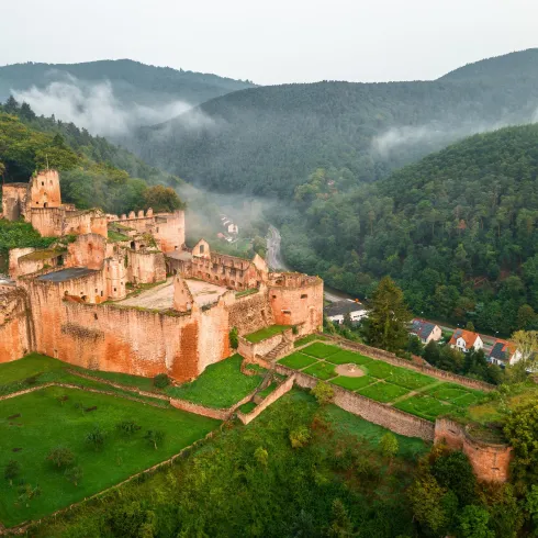 Schloss- und Festungsruine Hardenburg Schloss- und Festungsruine Hardenburg