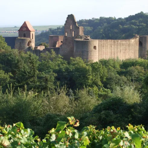 Burg Neuleiningen Burg Neuleiningen
