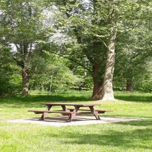 Naherholungsgebiet, Bank mit Tisch (© Birgit Groh) Naherholungsgebiet, Bank mit Tisch (© Birgit Groh)