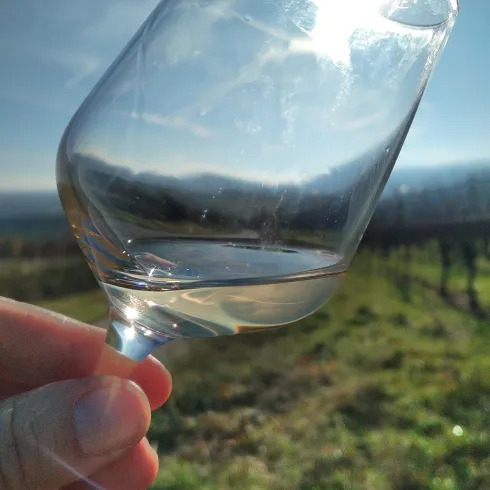 weinprobe-im-winter-sonnenschein weinprobe-im-winter-sonnenschein